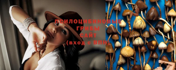 каннабис Баксан