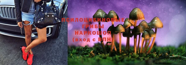 шишки Балабаново
