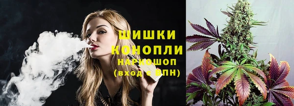 шишки Балабаново